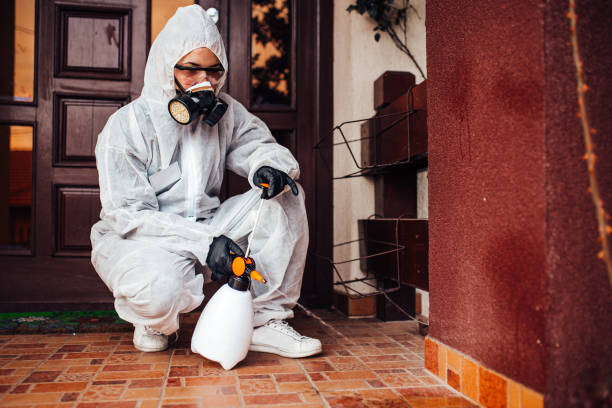Reliable Wasp Removal contractor in Vineyards, FL by Show Me Pest Control